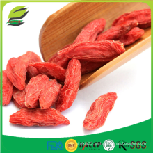 Dónde comprar goji berry wolfberry